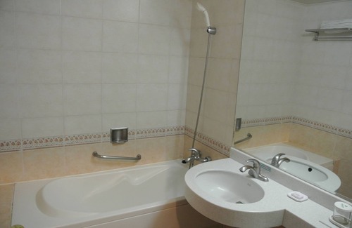 Chungju Hotel | Chungju Suanbo Park Hotel