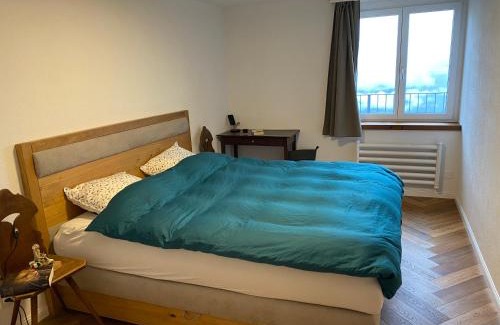 Flums Apartment | Churfirsten Panorama - CharmingStay