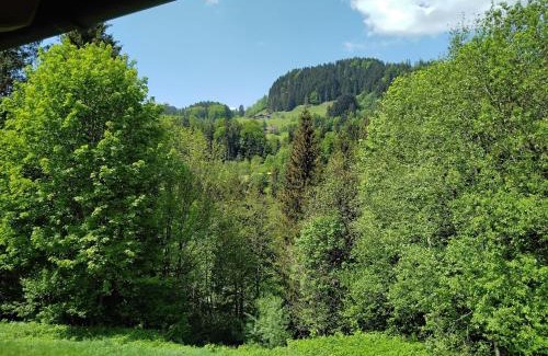 Aschau im Chiemgau Apartment | ciao-aschau Grenzhub FeWo Alpen Hidaway 110