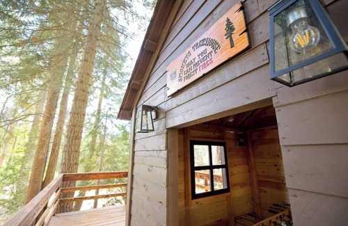 Ponderosa Cabin | Cielo Blanco- First Responder Cabin w Treehouse