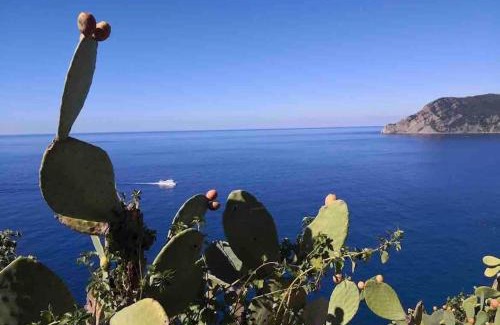 La Spezia House | Cinque Terre HUB LUXURY HOME IN LA SPEZIA
