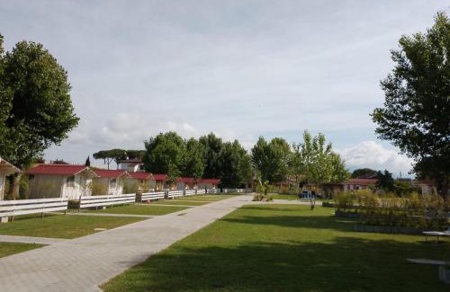 Colonia Elena Other | CirceMed