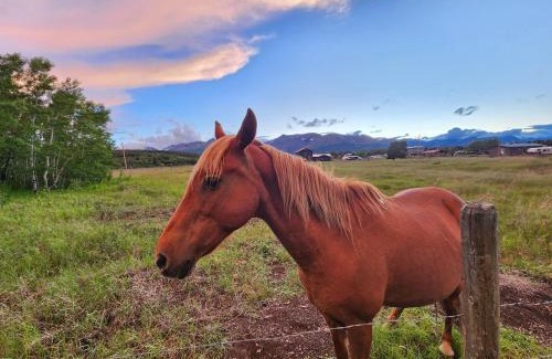 East Glacier Park Village Hotel | Circle R Motel