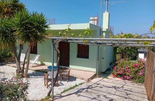 Kamisiana House | Citrus Tree Garden House