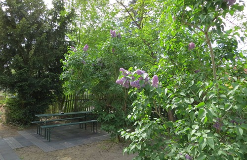 Schmoeckwitz Apartment | City and countryside, fully equipped apartment in the fisherman's house on the lake for 2
