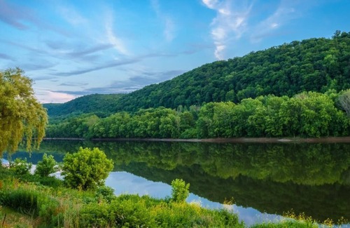 Harrisburg - Hershey House | City Island Fun and Adventure! Pets Allowed, Pools & Playground, Airport Shuttle