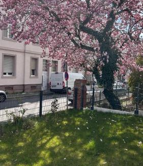 Offenbach am Main Apartment | City Nest Offenbach