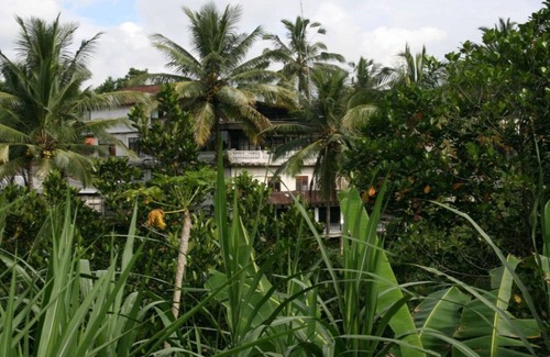 Sebatu House | classic balinese house with a beautiful rainforest view!