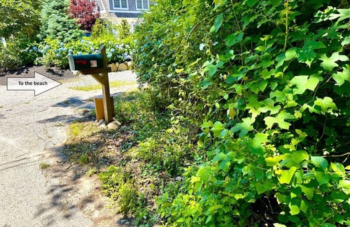 Falmouth House | Classic Cape Cod Cottage: Prime Location & Private Association Beach Access