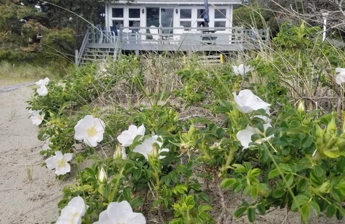 Phippsburg Cottage | Classic Popham Beachfront Cottage in Prime Location