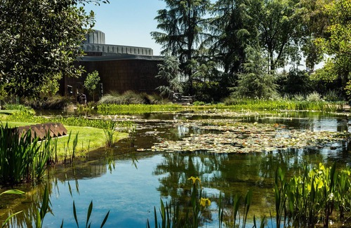 Pasadena Hotel | Classic Room at Pasadena Hotel & Pool! Pets Allowed, Pool Onsite!