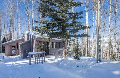 Telluride Cabin | Classic Ski Ranches Cabin