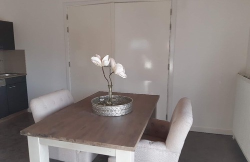 Hoenkoop Apartment | Classy room with a beautiful view over the landscape of the green heart