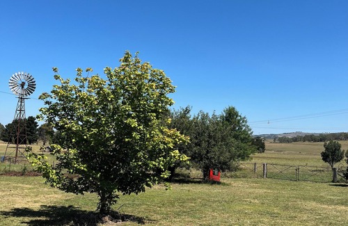 Eglinton Cottage | Clean, pretty cottage situated on beautiful farmland ten minutes from Bathurst.