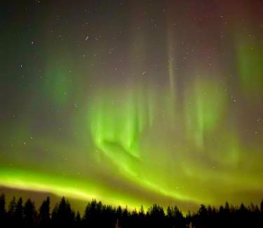 Posio Apartment | Cleanest air Kuorikki-Wilderness