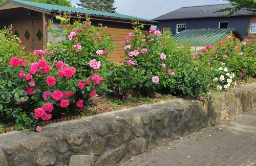 Garbek House | Clear your head? Short vacation from 2 nights - gladly with pet "Dat lütte Huus"