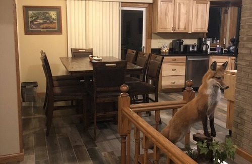 Rockton Cabin | Clearfield Co Rockton PA - Cabin Escape