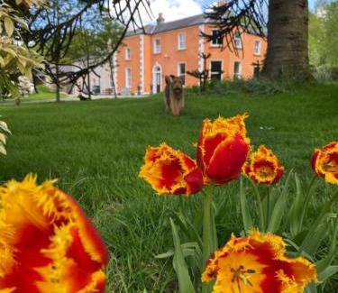 Aughrim Villa | Clone House Event Villa