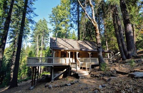 Camp Connell Cabin | Close to Bear Valley Ski Resort, Big Trees State Park, Hiking trails, and Lakes.