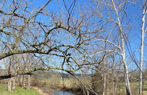 Mattawana House | Close to Penn State and Raystown Lake, beautiful quiet country setting.