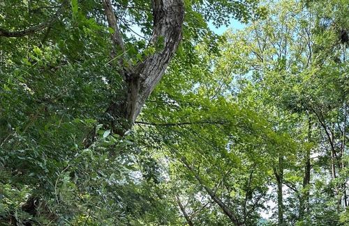 Mattawana House | Close to Penn State and Raystown Lake, beautiful quiet country setting.