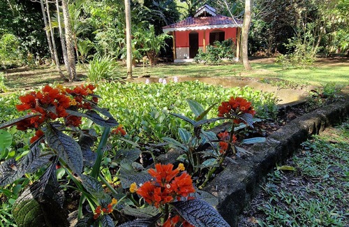 Cahuita Cabin | Close to the beach! Cabina C 1 for up to 5 people. Fully equipped kitchen!
