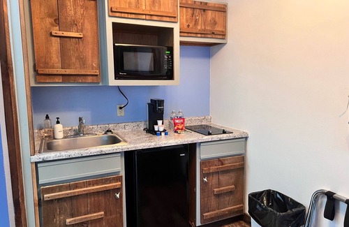 Indian Point Condo | Closest accommodations to Silver Dollar City!! With Fee Shuttle!!