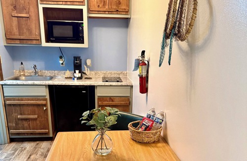 Indian Point Condo | Closest accommodations to Silver Dollar City!! With Fee Shuttle!!