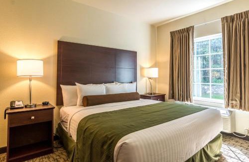 Greenville Hotel | Cobblestone Hotel & Suites - Greenville