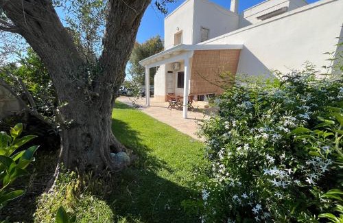 Giorgilorio Apartment | Coco' Country House Lecce