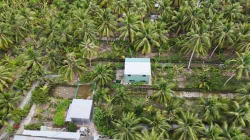 Giong Trom House | Coco Happy Farm