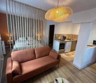 Joigny Apartment | Cocon Écorce & Mandarine