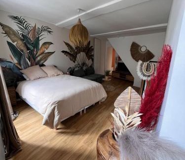La Cote-Saint-Andre Apartment | Cocon Jungle Hyper Centre