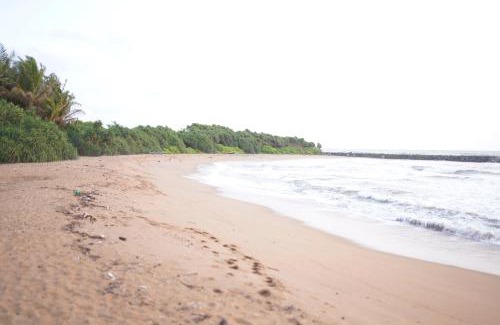 Rekawa House | Coconut Cove Lodge