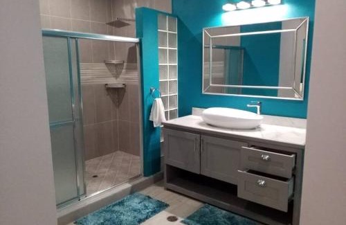 St. George's Apartment | Coconut Creek Deluxe Suite