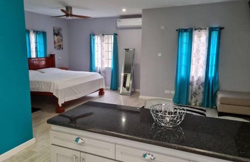 St. George's Apartment | Coconut Creek Deluxe Suite