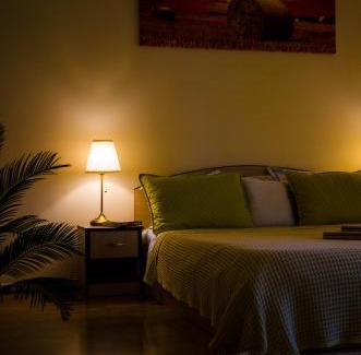 Sector 2 Apartment | Collosal Apartment with Garden