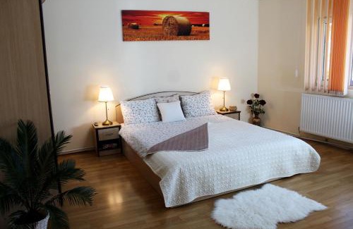 Sector 2 Apartment | Collosal Apartment with Garden