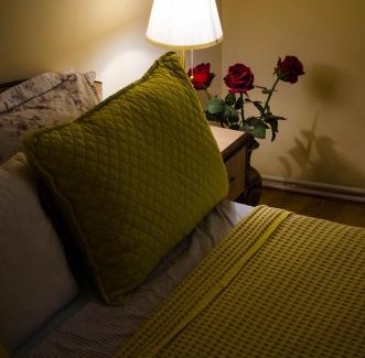 Sector 2 Apartment | Collosal Apartment with Garden