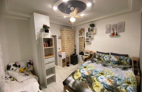 Ciekurkalns Apartment | Colorfull Experience in Hause built 1910 Fast free WiFi Free Parking