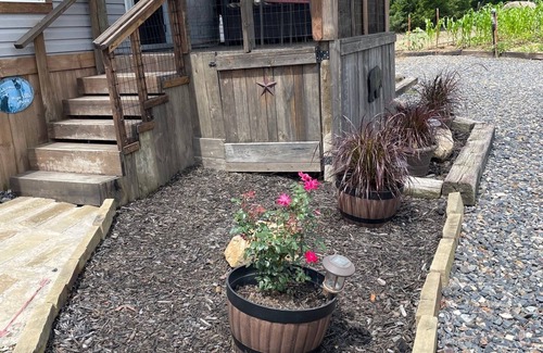 Smithville House | COME SEE US AT JENNY'S FARMHOUSE ! FUN FOR EVERYONE ! ALWAYS SOMETHING TO DO !