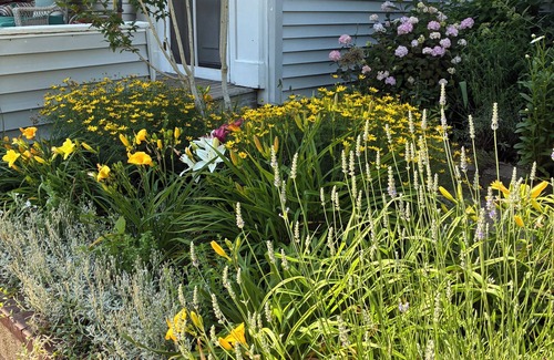 Greenport House | Come stay at The Whitman House a magical gem in the heart of Historic Greenport