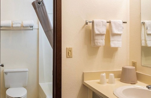 Shelby House | Comfort and Convenience! 2 Sleek Units, Free Parking, Pets Allowed