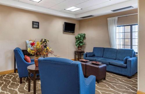 Central Business District Hotel | Comfort Inn Downtown - University Area