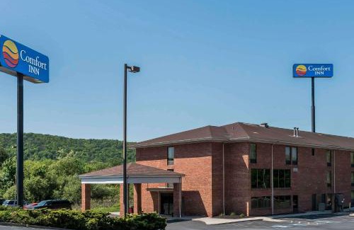 Pine Grove Hotel | Comfort Inn Pine Grove I-81 Hershey Area