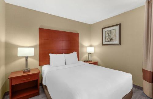 Fallon Hotel | Comfort Inn & Suites Near Fallon Naval Air Station