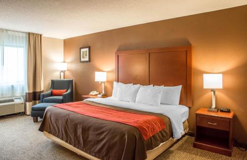 Greendale Hotel | Comfort Inn & Suites