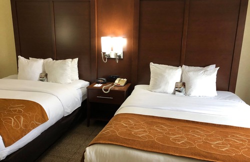 Elkhart Hotel | Comfort Suites Elkhart South