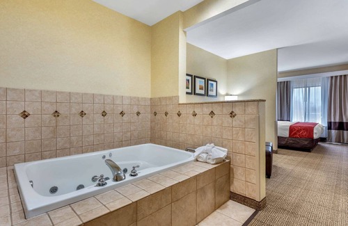 Elkhart Hotel | Comfort Suites Elkhart South
