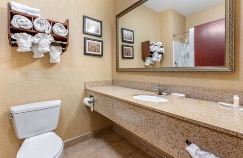 Elkhart Hotel | Comfort Suites Elkhart South